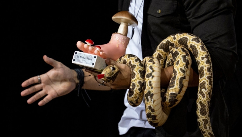 CELE MAI NEOBIŞNUITE CERCETĂRI, RECOMPENSATE CU PREMIILE IGNOBEL 2026 CELE MAI NEOBIŞNUITE CERCETĂRI, RECOMPENSATE CU PREMIILE IGNOBEL 2026