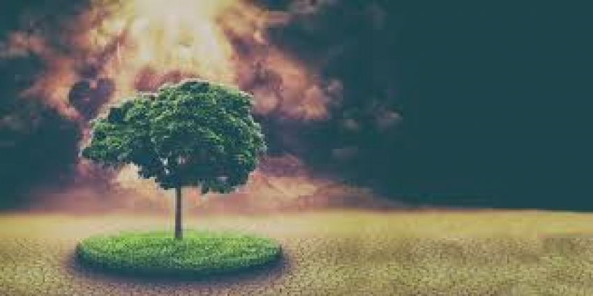 În Europa, investițiile climatice stagnează