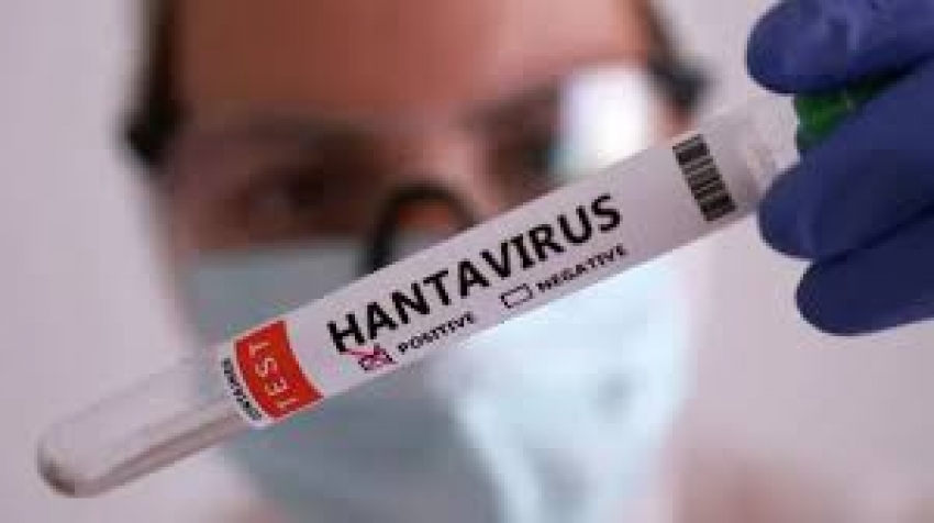 OMS confirmă 6 cazuri de hantavirus