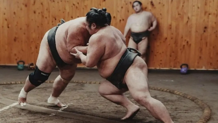 DE CE LUPTĂTORII DE SUMO SÎNT ATÎT DE GRAȘI? DE CE LUPTĂTORII DE SUMO SÎNT ATÎT DE GRAȘI?
