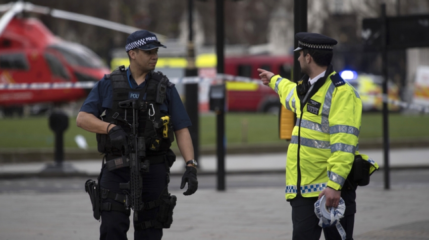 Un britanic de 76 de ani a fost arestat sub suspiciunea că a administrat otravă într-o tabără de Vară pentru copii