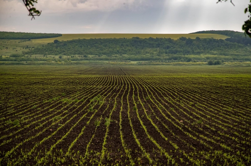 IGOR DODON INTREPRINDE O VIZITA IN SUDUL MOLDOVEI