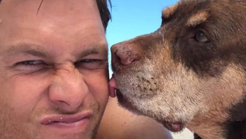 TOM BRADY ŞI-A CLONAT CÎINELE ȘI TRĂIEȘTE DE 2 ANI CU O CLONĂ TOM BRADY ŞI-A CLONAT CÎINELE ȘI TRĂIEȘTE DE 2 ANI CU O CLONĂ