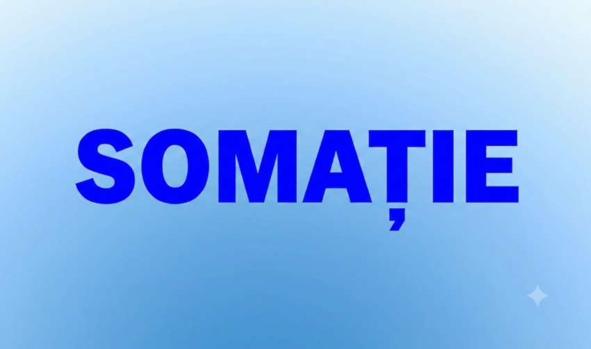 SOMAŢIE