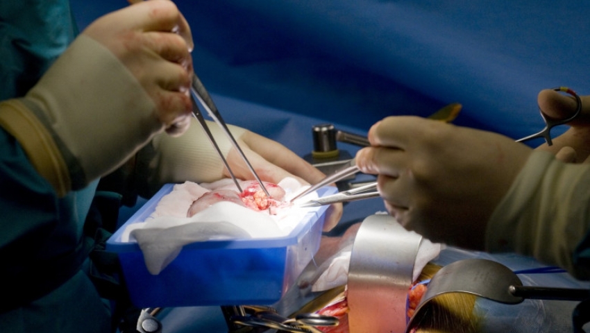RECORD MEDICAL