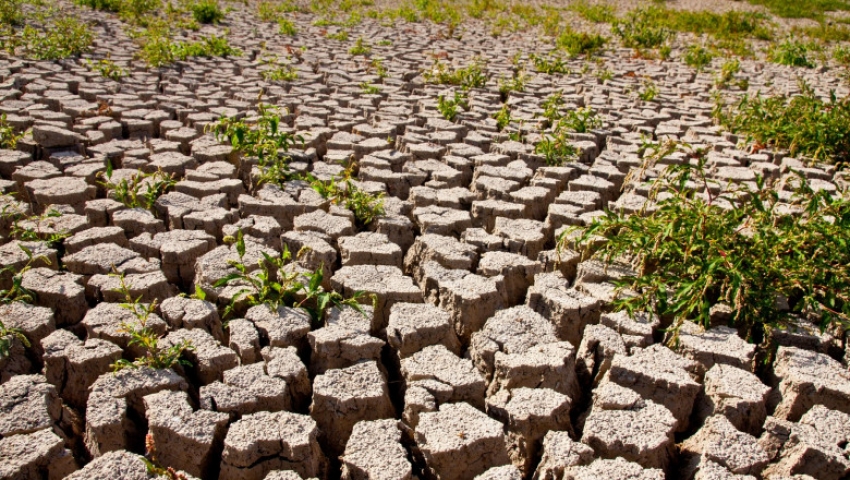 Lumea se îndreaptă spre o încălzire de 2,8°C Lumea se îndreaptă spre o încălzire de 2,8°C
