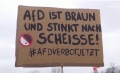 Proteste de mare amploare în toată Germania împotriva partidului de extremă dreapta AfD
