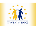 PROIECT TWINNING PRIVIND CONSOLIDAREA AUDITULUI PUBLIC EXTERN