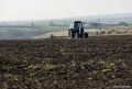 CULESUL ROADEI PENTRU UNELE CULTURI AGRICOLE VA INTIRZIA CU O LUNA