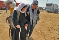 SIRIA: CEL PUTIN 220 DE CRESTINI, RAPITI IN ULTIMELE ZILE