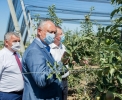 Președintele Republicii Moldova întreprinde o vizită de lucru în raionul Dubăsari