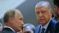 Erdogan i-a cerut lui Putin o incetare a focului in Ucraina