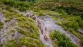Peste 150.000 de oameni, evacuati din calea elefantilor calatori din China. Celebra turma se intoarce acasa