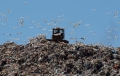 Romania a ajuns groapa de gunoi a Occidentului. Afacerile cu deseuri, un business de aproape jumatate de miliard de euro