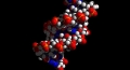 EXPERIMENT: CARE SINT REZULTATELE MODIFICARII ADN-ULUI UNUI EMBRION UMAN