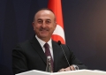 Despre cele două conferinte separate privind medierea, conduse de catre ministrul Afacerilor Externe al Republicii Turcia, Mevlüt Çavuşoğlu, la Istanbul, pe 29 si 30 noiembrie 2018