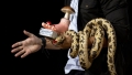 CELE MAI NEOBIŞNUITE CERCETĂRI, RECOMPENSATE CU PREMIILE IGNOBEL 2026