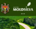 PÎNĂ ÎN 2017, MOLDOVA VA VINDE 550 DE MII DE TONE DE CO2E