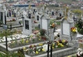 O firma suedeza de pompe funebre foloseste inteligenta artificiala ca sa vorbesti cu mortii