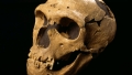 Un om de Neanderthal, cel mai vechi caz de transmitere a unei boli de la animal la om. Boala e in aceeasi categorie cu COVID-19