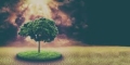 În Europa, investițiile climatice stagnează