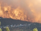 Armata israeliană a fost mobilizată pentru stăvilirea unor incendii cumplite care s-au declanșat în Vestul Ierusalimului