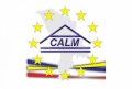 CALM: EXISTA O NECLARITATE ASUPRA DIRECTIILOR SI MASURILOR CONCRETE DE DESCENTRALIZARE