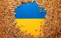 Janusz Wojciechowski consideră că reacția Ucrainei față de interdicțiile temporare la exportul de cereale ”e destul de surprinzătoare”