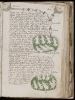 Manuscrisul ”Voynich”