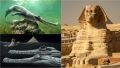 O nouă specie de crocodil a fost descoperită cu ajutorul unei fosile găsite în roca din care a fost construit Marele Sfinx din Giza