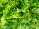 Un roman a incercat sa ajunga milionar cu un camion de ”salata verde”
