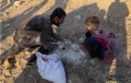 article logo 100 de ONG-uri acuză că o foamete în masă se răspîndeşte în Fîşia Gaza