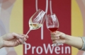 VINURILE MOLDOVENESTI AU FOST PREZENTATE LA EXPOZITIA SPECIALIZATA PROWEIN 2015