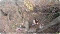 Ucrainenii au capturat un soldat rus rănit și abandonat în pădure de camarazii lui