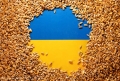 Acuzînd Kievul de rea credinţă, Polonia va menţine interdicţia asupra  importurilor agricole ucrainene