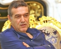 DOMNULUI GIGI BECALI