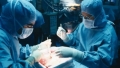 Medicii americani au descoperit ca ficatul transplantat functioneaza peste 100 de ani