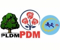 GRUPUL DE LUCRU AL PLDM, PDM ŞI PL ŞI-A CONTINUAT ACTIVITATEA