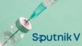 Agentia Europeana a Medicamentului a inceput examinarea vaccinului rusesc Sputnik V