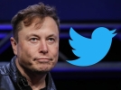 Elon Musk contraataca si da in judecata Twitter