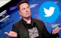 Veniturile din publicitate ale lui Elon Musk s-au prăbușit la jumătate după ce a revoluționat Twitter
