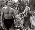 Johnny Weissmuller. Eseul unei vieți care a țipat ca Tarzan și a tăcut ca un erou