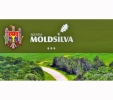 AGENŢIA “MOLDSILVA” A SISTAT DAREA ÎN ARENDĂ A FONDULUI FORESTIER