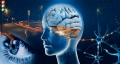 Creierul uman are capacitatea uluitoare de a vindeca boli. Poate sa fie antrenat pentru a declansa mecanismele de autovindecare
