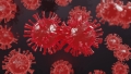 Lambda, cea mai noua varianta de coronavirus identificata de OMS. Maia Sandu, ca diaspora sa  mearga la vot, vrea ca OMS s-o numeasca LAMBADA