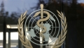 Pandemia a expus fragilitatile Organizatiei Mondiale a Sanatatii
