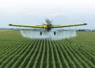 Situația dificilă a fermierilor europeni față de intenţiile UE privind pesticidele sustenabile