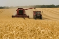 În UE, importurile de grîu au crescut cu 71%, iar exporturile au scăzut cu 27%
