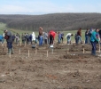 China a plantat 2,6 miliarde de arbori