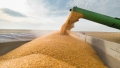 Ucraina are probleme cu exporturile de cereale